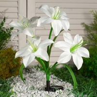 Садовый светильник на солнечной батарее &laquo;Лилия белая&raquo;, 80 см, 4 LED, свечение мульти (RGB)