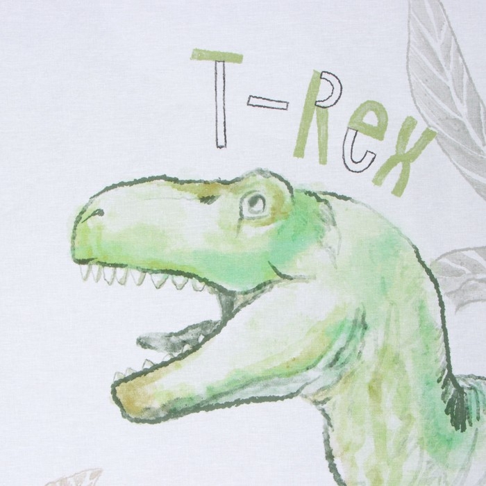 Постельное бельё Этель 1,5 сп Dino world 143х215 см, 150х214 см, 50х70 см -1 шт, Постельное бельё Этель 1,5 сп Dino world 143х215 см, 150х214 см, 50х70 см -1 шт,