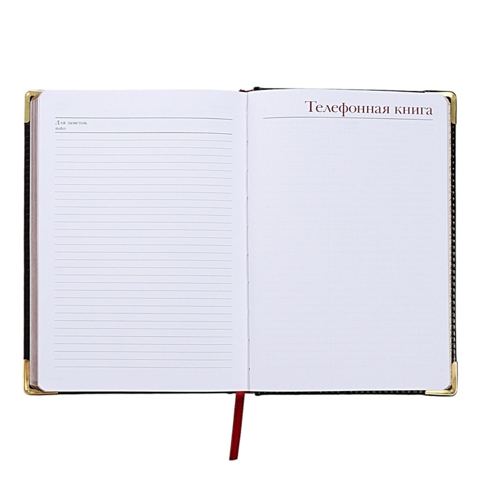 Ежедневник недатированный А5+, 136 листов Sidney Nebraska, твёрдая обложка, искусственная кожа, золотой срез, золотые уголки, чёрный