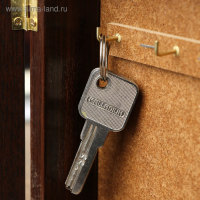 Ключница "Home черный-золото" венге 15х21 см