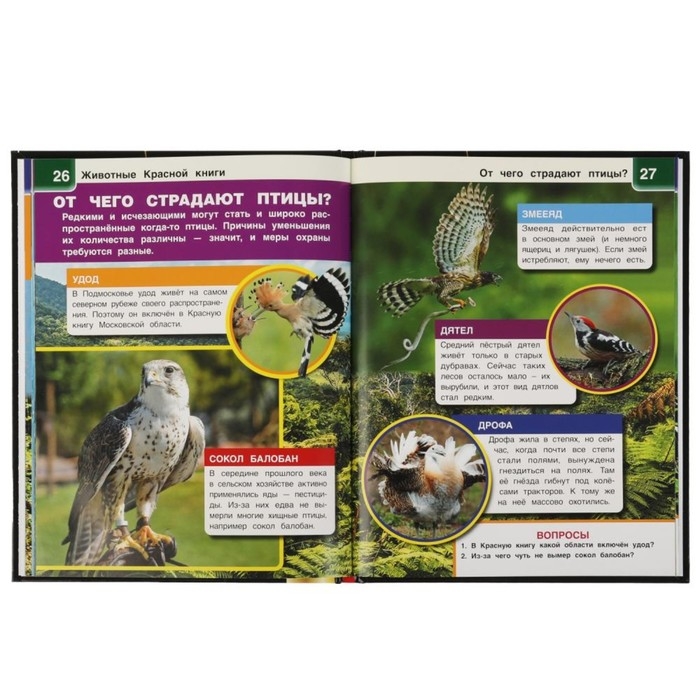 Энциклопедия А4 с дополненной реальностью &laquo;Животные красной книги 4D&raquo;