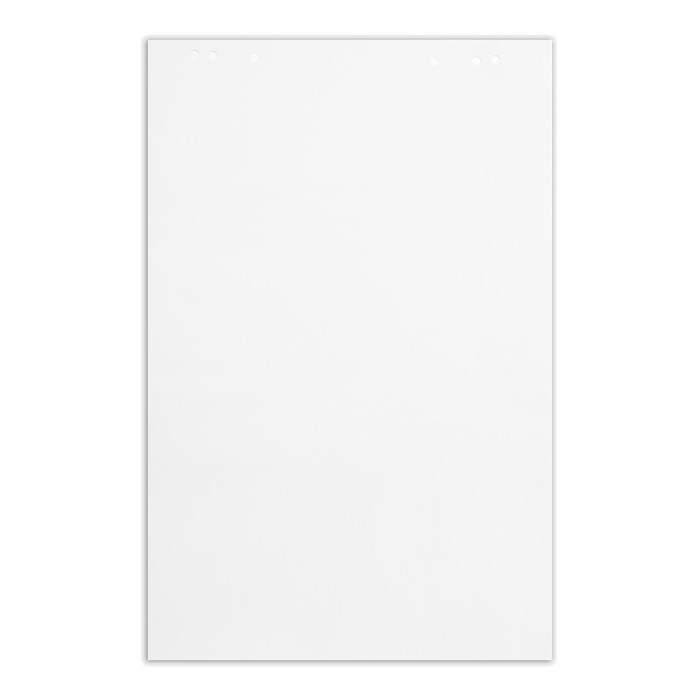 Блокнот для флипчарта Calligrata, 67.5 х 98 см, 20 листов, 80 г/м2, белизна 92%, белый
