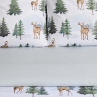 Постельное бельё &laquo;Этель&raquo; 2 сп &laquo;Однажды в лесу&raquo; 175х215 см, 200х220 см,70х70 см -2 шт, поплин