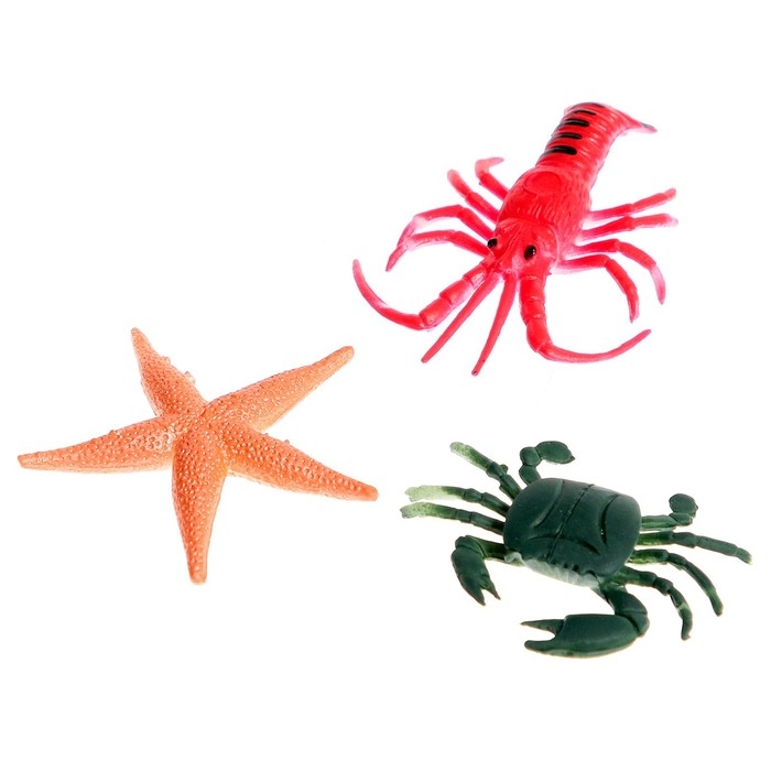 Развивающий набор с карточками &laquo;Водные животные&raquo;, по методике Домана