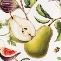 Кухонный набор Этель &laquo;Фруктовый сад&raquo;, полотенце 40х73 см, прихватка 19х19 см, фартук 60х65 см