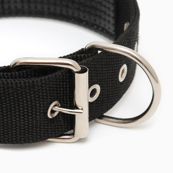 Ошейник Ошейник "Комфорт" комбинированный, 60 х 4 см, ОШ 45-55 см, чёрный