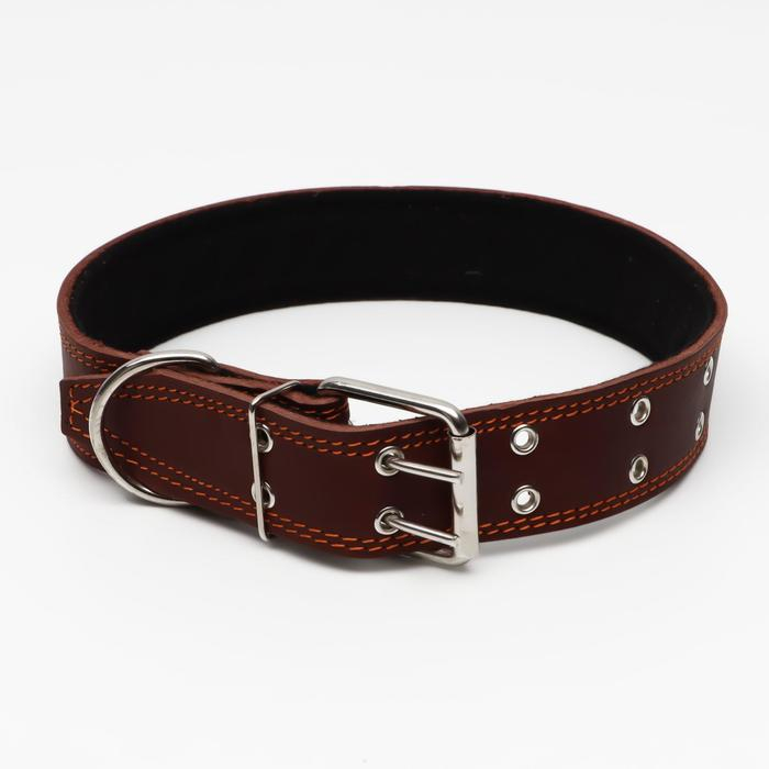 Ошейник кожаный на синтепоне, 82 х 4.5 см,  ОШ 50-70 см, коричневый
