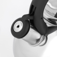 Чайник со свистком из нержавеющей стали Доляна &laquo;Квант&raquo;, 2,8 л, фиксированная ручка, цвет хромированный