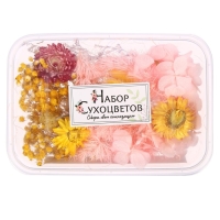 Набор для творчества &laquo;Набор сухоцветов&raquo;, большой, розовый, жёлтый