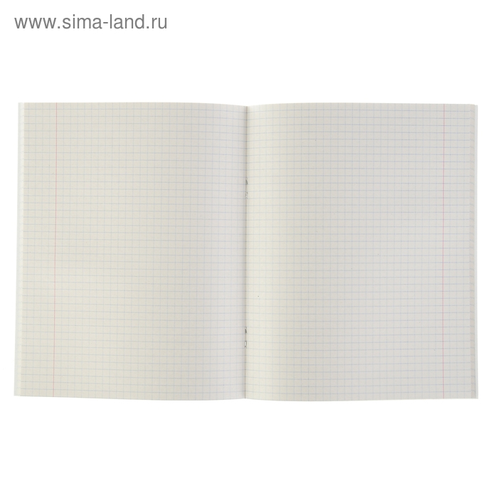 Тетрадь 48 листов в клетку Тетрадь 48 листов в клетку "Зелёная", обложка бумвинил, блок №2 (серые листы)