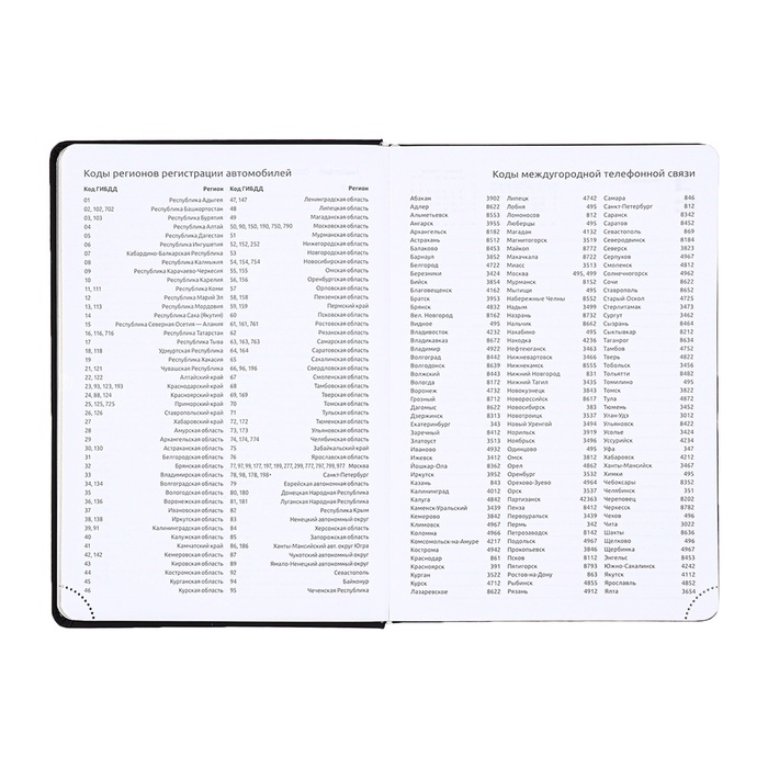 Ежедневник датированный 2025 года, deVENTE. Flag, A5 168 листов, deVENTE. Duo, твердая обложка кожзам с поролоном, шелкография, перфорация, ляссе, блок 70 г/м2