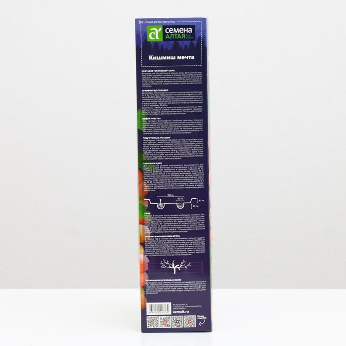 Саженец винограда Кишмиш Мечта Весна 2024, 1 шт. Саженец винограда Кишмиш Мечта Весна 2024, 1 шт.