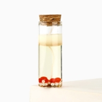 Новогодняя свеча в колбе «Новый год:Жемчужина» Новогодняя свеча в колбе «Новый год:Жемчужина»