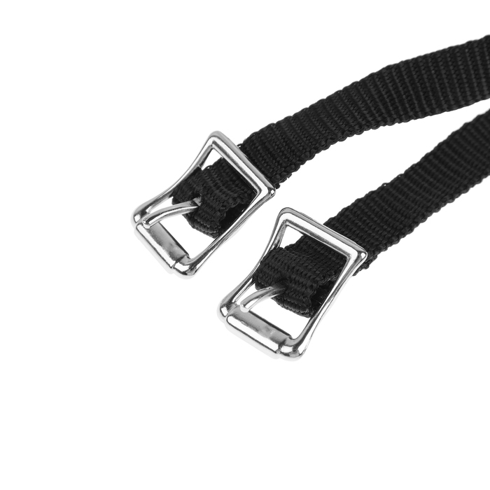 Шпоры + тренчики для верховой езды, набор 2 шт Шпоры + тренчики для верховой езды, набор 2 шт