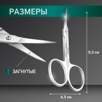 Ножницы маникюрные ZINGER, загнутые, 9,5 см, на блистере, цвет серебристый, В-128-D-SH Ножницы маникюрные ZINGER, загнутые, 9,5 см, на блистере, цвет серебристый, В-128-D-SH