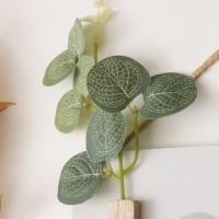 Крючки декоративные дерево "Абстракция. Цветок в вазе" 1,5х23,5х12,5 см