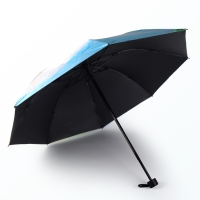 Зонт механический «Пейзаж», эпонж, 4 сложения, 8 спиц, R = 48/55 см, D = 110 см, цвет МИКС Зонт механический «Пейзаж», эпонж, 4 сложения, 8 спиц, R = 48/55 см, D = 110 см, цвет МИКС