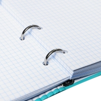 Тетрадь на кольцах А5 160 листов в клетку "Gussi", твёрдая обложка, глянцевая ламинация Тетрадь на кольцах А5 160 листов в клетку "Gussi", твёрдая обложка, глянцевая ламинация