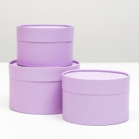 Набор шляпных коробок 3 в 1,"Сиреневый",16 х 10,14 х 9,13 х 8,5 см Набор шляпных коробок 3 в 1,"Сиреневый",16 х 10,14 х 9,13 х 8,5 см