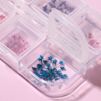 Сухоцветы для декора ногтей, 12 видов, в футляре, цвет разноцветный