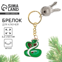 Брелок новогодний, для ключей, металлический &laquo;Змея&raquo; 3,2 х 8,5 см