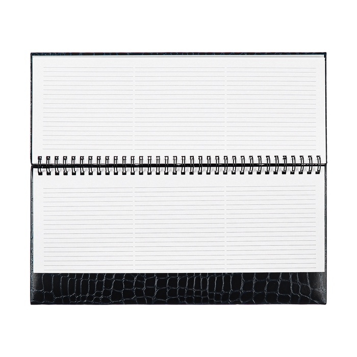 Планинг датированный 2025 года, 64 листа, Attomex. Arkona, твердая обложка бумвинил с поролоном, блок 70 г/м2, чёрный, 294 х 142мм