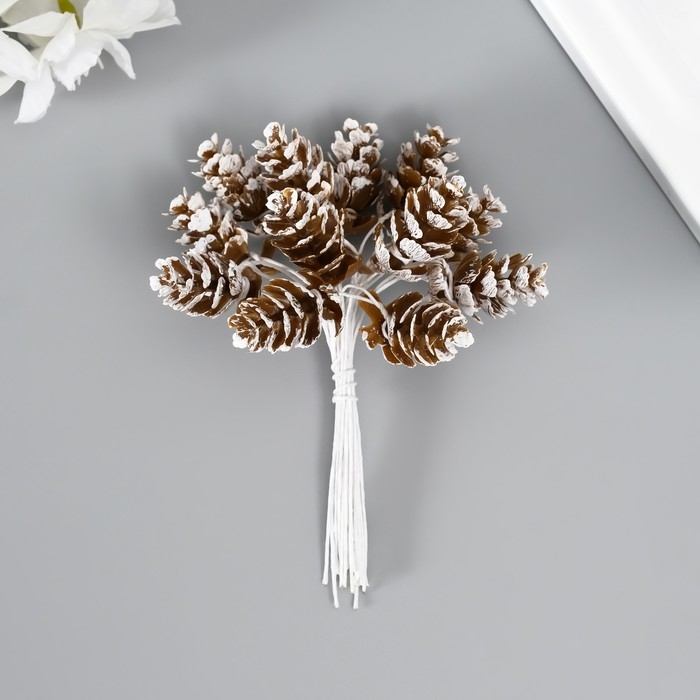 Декор для творчества Декор для творчества "Шишки" (1 набор=1 букет) в букете 12 шт 11х2х2см