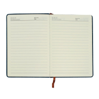 Ежедневник недатированный А5, 80 листов, линия, обложка пвх, с карманом, МИКС Ежедневник недатированный А5, 80 листов, линия, обложка пвх, с карманом, МИКС