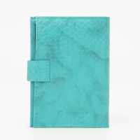 Обложка для автодокументов и паспорта TEXTURA, цвет бирюзовый