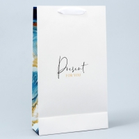 Пакет подарочный под две бутылки, упаковка, &laquo;Present for you&raquo;, 35 х 20 х 9 см