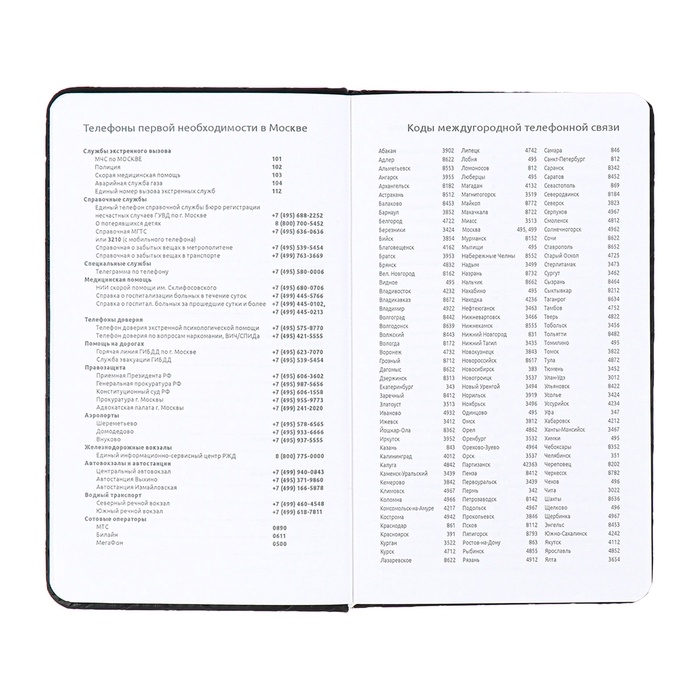 Планинг карманный недатированный 80 листов, 100 х 170мм, deVENTE.Elizabeth, твердая обложка кожзам с поролоном, хлястик, блок 70, черный