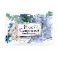 Набор для творчества &laquo;Набор сухоцветов&raquo;, малый, голубой