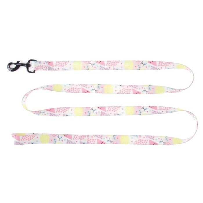 Поводок &laquo;Сочное настроение&raquo;, 2.5 см, 2 м