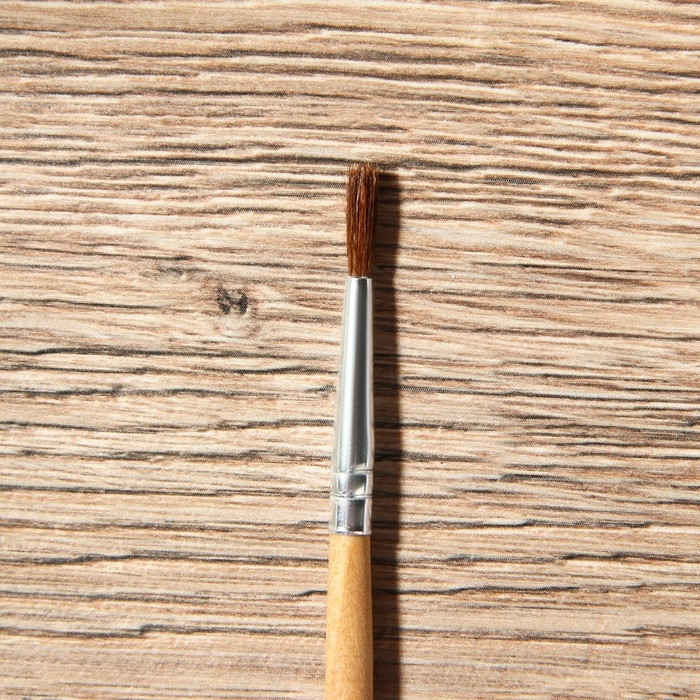 Кисть для рисования набор 4 шт. белка &laquo;TRUE ART&raquo; № 1, 2, 3, 4