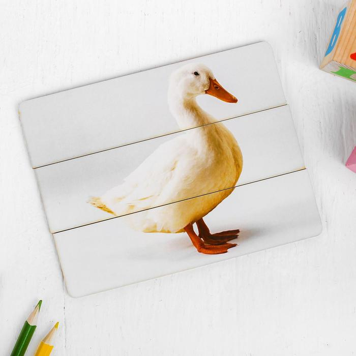 Разрезные картинки &laquo;Домашние животные&raquo; МИКС