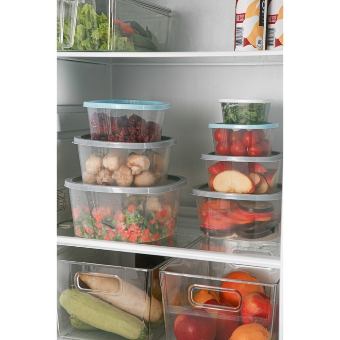 Контейнер пищевой RICCO, 2,65 л, 21,5&times;21,5&times;10 см, квадрат, цвет прозрачный, крышка голубая