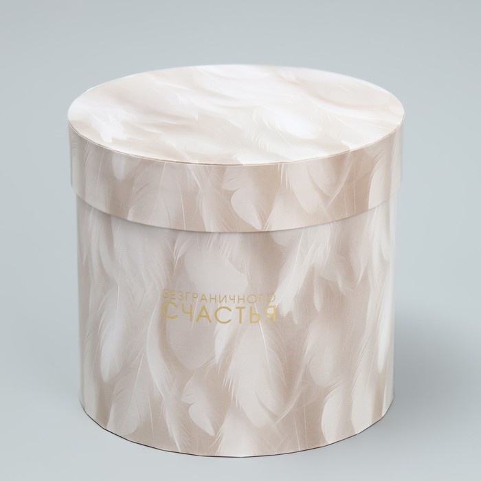 Набор шляпных коробок 5 в 1, упаковка подарочная, «Перья», 13 х 14 ‒ 19.5 х 22 см Набор шляпных коробок 5 в 1, упаковка подарочная, «Перья», 13 х 14 ‒ 19.5 х 22 см