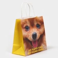 Пакет подарочный, упаковка, &laquo;Подарочек&raquo;, 22 х 22 х 11 см