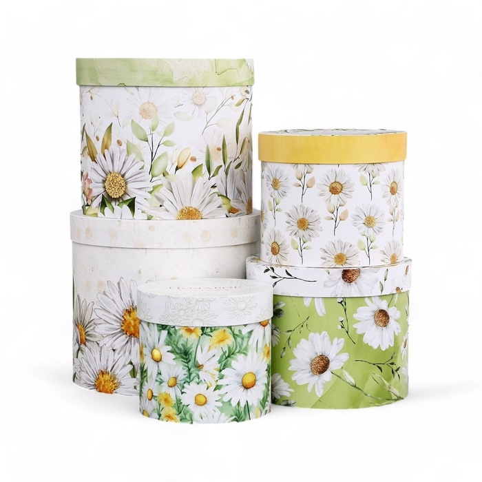 Набор шляпных коробок для цветов 5 в 1, упаковка подарочная, &laquo;Ромашки&raquo;, 16 х 14 см - 22 х 19,5 см