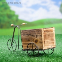 Кашпо-велосипед 23х8х12см Кашпо-велосипед 23х8х12см