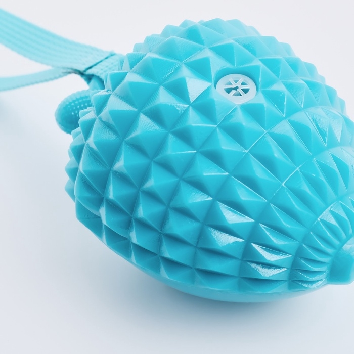 Игрушка массажная пищащая для собак "Клубничка",10 см, ТПР, микс цветов