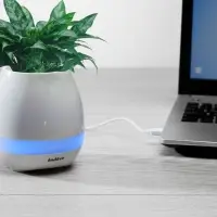 Беспроводная колонка melodyPot, белая Беспроводная колонка melodyPot, белая