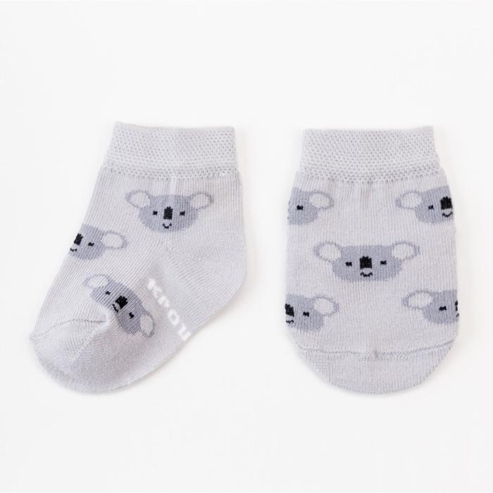 Набор носков Крошка Я &laquo;Коала&raquo;, 2 пары, 8-10