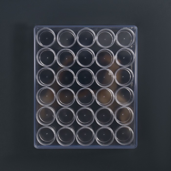 Набор баночек для декора, 30 шт, в органайзере, 6 мл, 16 &times; 13,5 см, цвет прозрачный