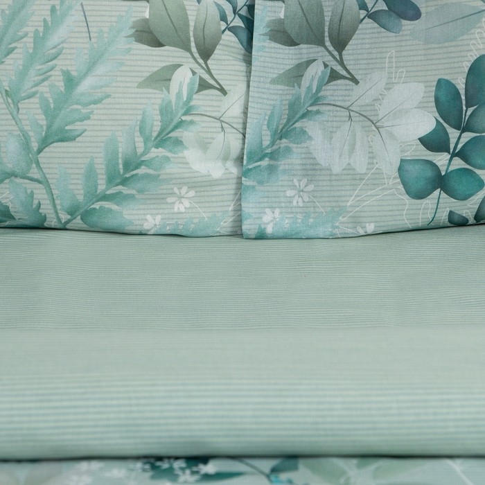 Постельное бельё Этель Евро &laquo;Эвкалипт&raquo; 200х217 см, 220х240 см, 50х70 см -2 шт, поплин