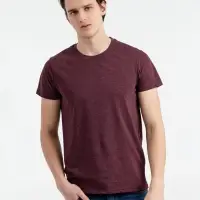 Футболка мужская приталенная Regent Fit бордовый меланж, размер S