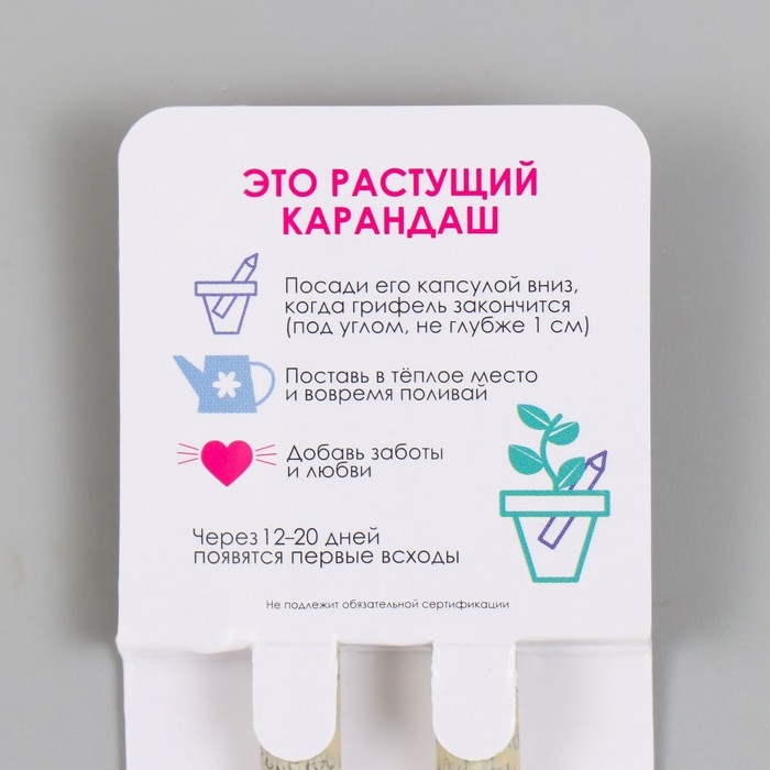 Растущие подарочные карандаши mini "Мята и Паприка" набор 2 шт