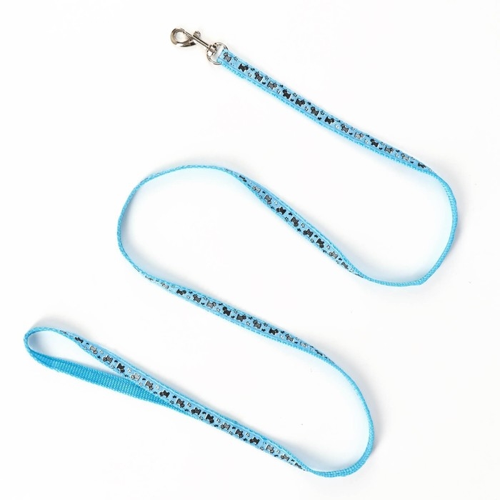 Комплект "Собачки", поводок 120 х 1 см, ОГ 23-35 см, голубой