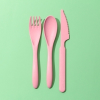 Набор столовых приборов &laquo;Живи со вкусом&raquo;, вилка, ложка, нож