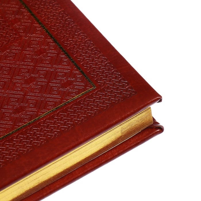 Ежедневник недатированный A5, 176 листов, deVENTE.Symbol, твёрдая обложка из искусственной кожи с поролоном, золотой срез, блок 70 г/м2, коричневый